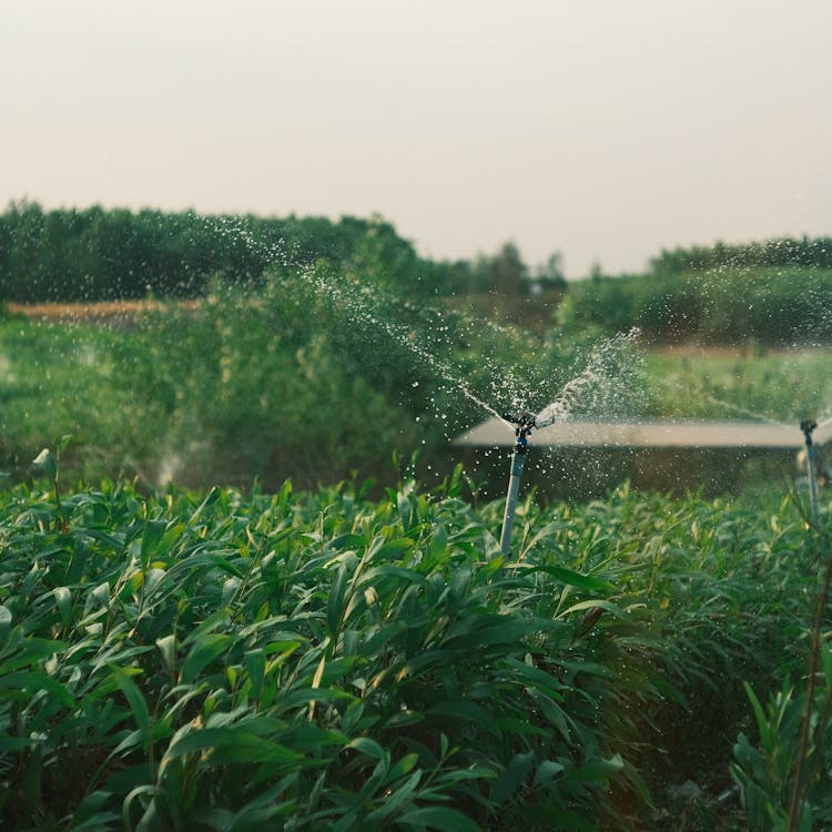 Drone agriculture Agrinofy
