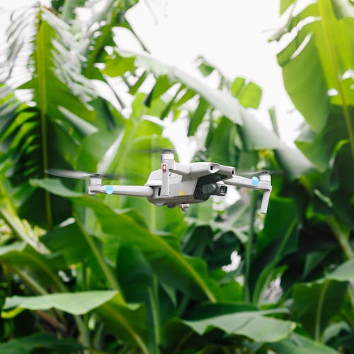 Agrinofy Smart Farming Solutions Bangladesh