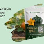 Agrinofy Seed- Hybrid Vegetable, Fruit & Flower Seeds