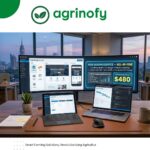 All-in-One Professional Web Design Service