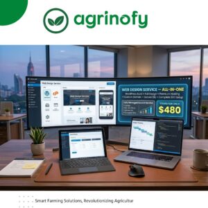 All-in-One Professional Web Design Service