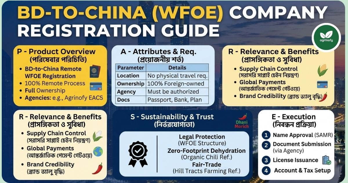China Company Registration-WFOE