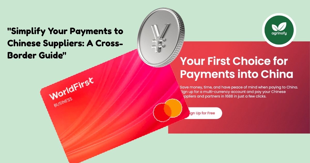 "How to Pay Chinese Suppliers Fast: A Cross-Border Guide"