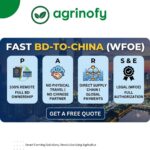China Company Registration Service