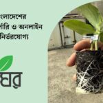চারাঘর