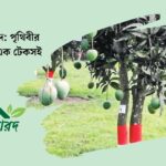 রওদাতুল আরদ
