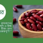 সঠিক বীজ