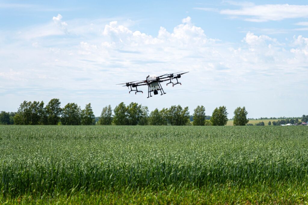 Precision UAV spraying crops. Source: Diy13 / Getty Images