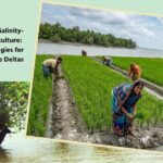 Coastal and Salinity-Affected Agriculture: Farming Strategies for Vulnerable Deltas