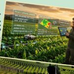 Digital Agriculture Advisory