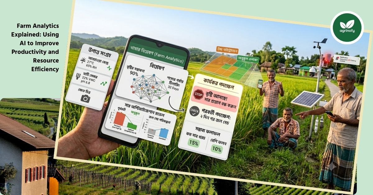 Farm Analytics Explained: Using AI to Improve Productivity and Resource Efficiency