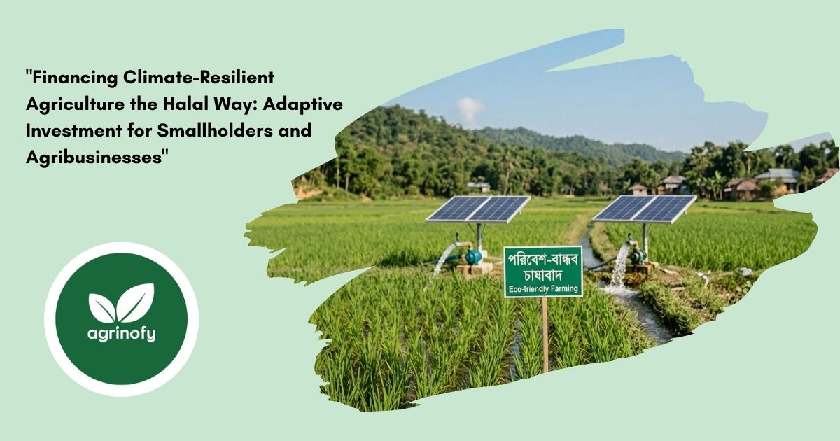 Halal Climate-Resilient Agriculture Financing Guide