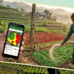 Soil Sensors & IoT-Based Nutrient Management