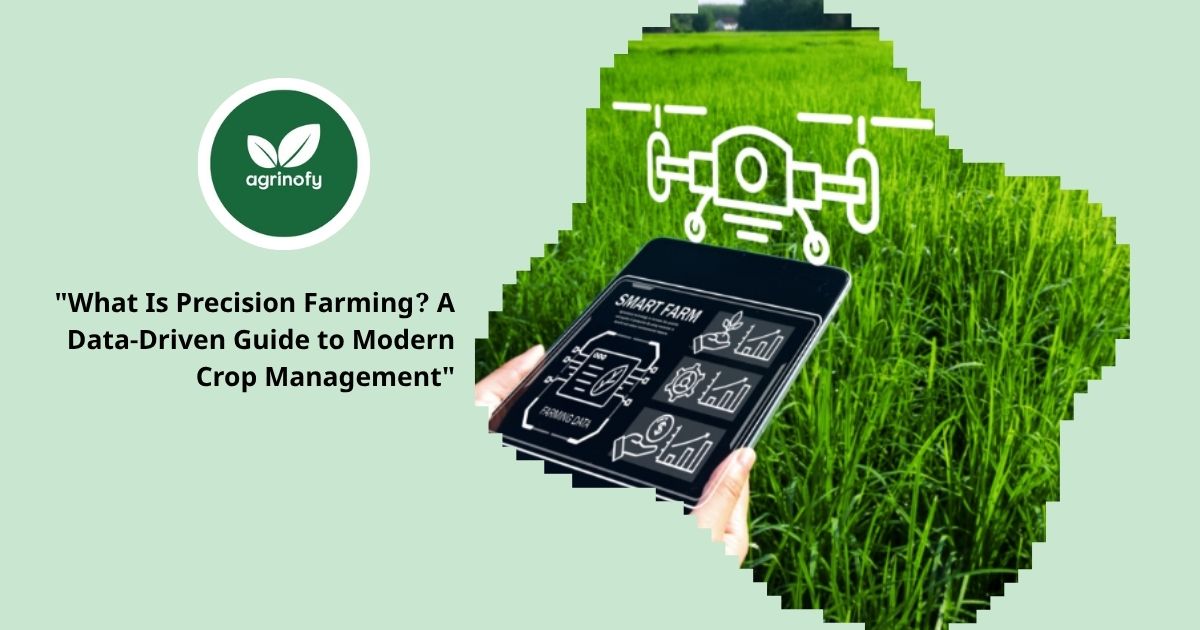 What Is Precision Farming? A Data-Driven Guide to Modern Crop Management
