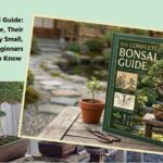 The Complete Bonsai Guide