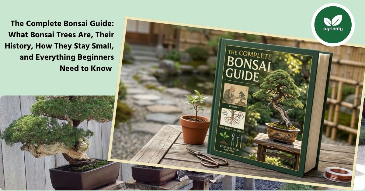The Complete Bonsai Guide