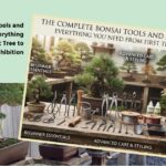 Bonsai Tools Guide