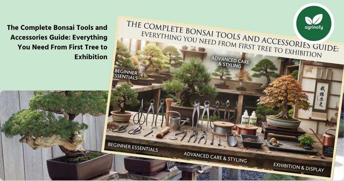 Bonsai Tools Guide